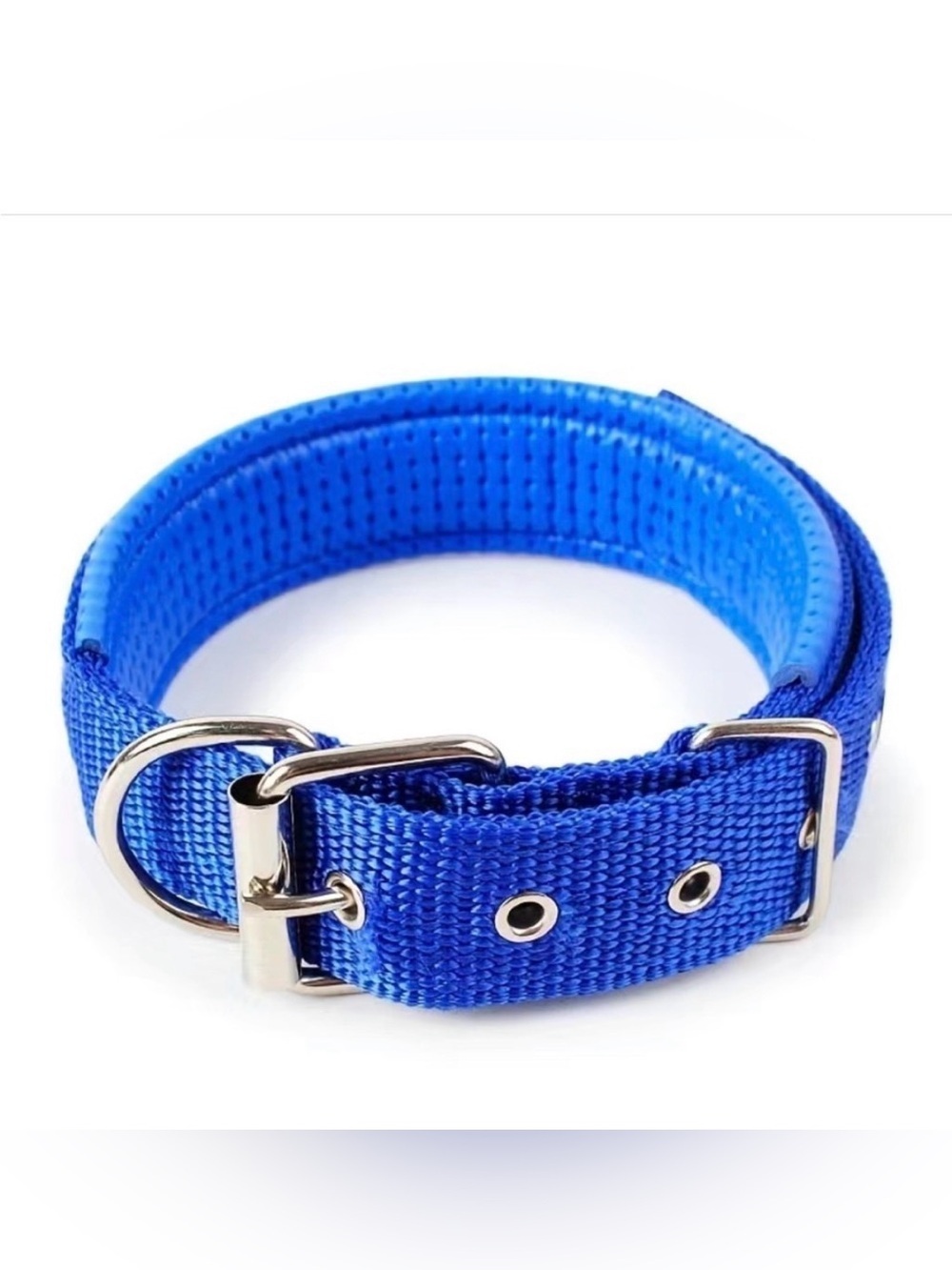 Adjustable Hoop Blue Dog Collar